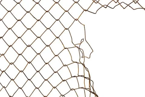 The texture of the metal mesh. Torn, destroyed, broken metal mesh on a whit.. Stock Photos