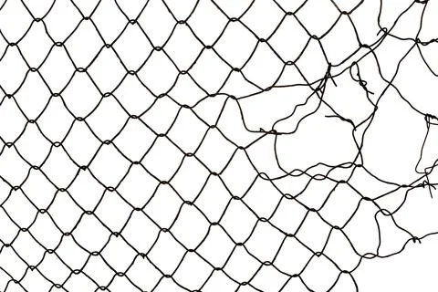 The texture of the metal mesh on a white background. Torn steel, metal mesh.. Stock Photos