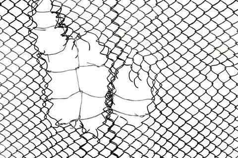 The texture of the metal mesh on a white background. Torn steel, metal mesh.. Stock Photos