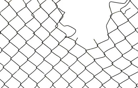 The texture of the metal mesh on a white background. Torn steel, metal mesh.. Stock Photos