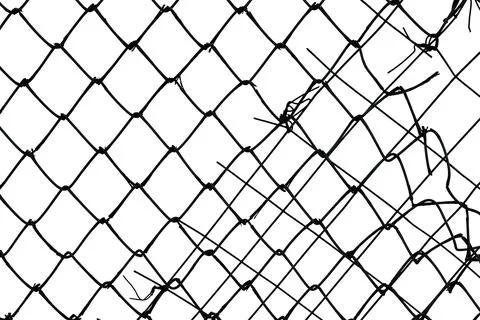 The texture of the metal mesh on a white background. Torn steel, metal mesh.. Stock Photos
