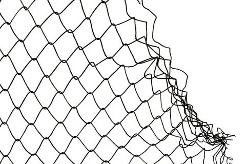 The texture of the metal mesh on a white background. Torn steel, metal mesh.. Stock-Fotos