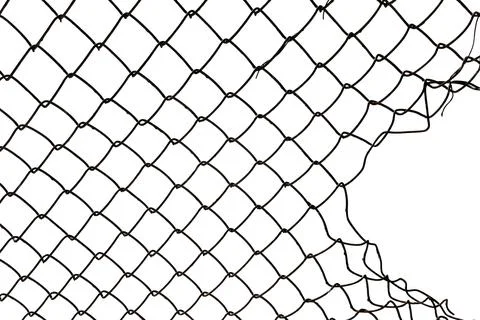 The texture of the metal mesh on a white background. Torn steel, metal mesh.. Stock Photos