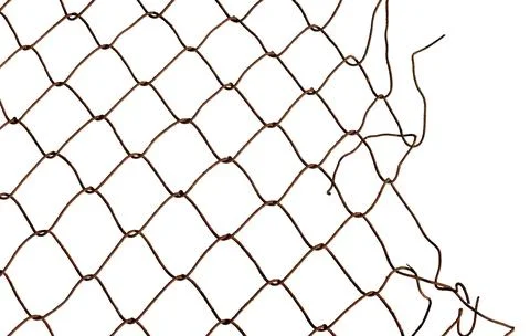 The texture of the metal mesh on a white background. Torn steel, metal mesh.. Stock-Fotos