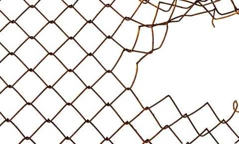 The texture of the metal mesh on a white background. Torn steel, metal mesh.. Stock Photos