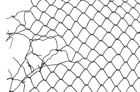 The texture of the metal mesh on a white background. Torn steel, metal mesh.. Stock Photos