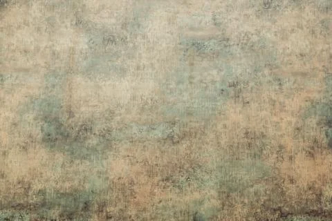 Texture of metal of old gate Photos