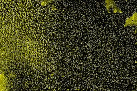 Texture of the metal surface of a wall made of non-ferrous metal. Stock Photos