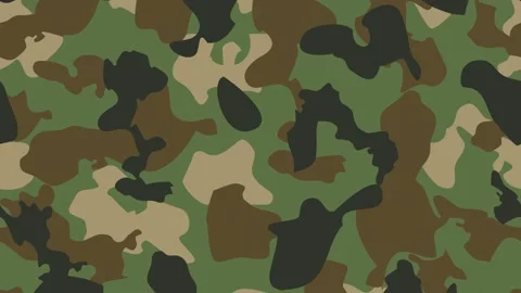 Texture military camouflage seamless pattern transition Stock Footage 276568944