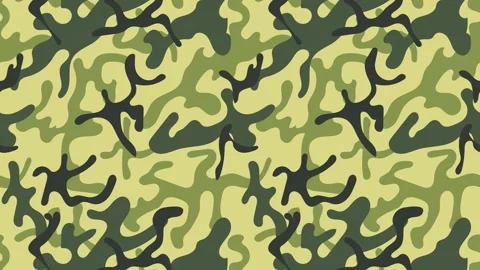 Texture military camouflage seamless pattern transition Stock Footage 276569018
