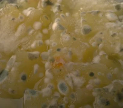 The texture of the mold on the pineapple jam closeup Stock-Fotos