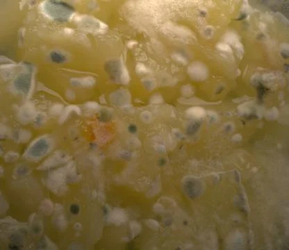 The texture of the mold on the pineapple jam closeup Stock Photos