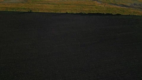 Texture of the Moldova fields, Aerial Stock Footage 247354741