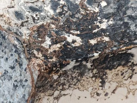 Texture of Moldy Concrete Wall with Termite Trails and Water Damage Фото