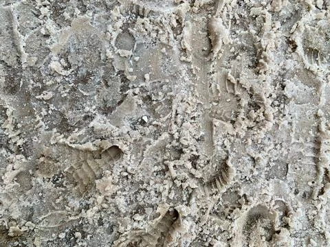Texture of mud in the snow Stock Photos