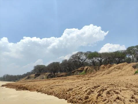 The texture of the muddy clay soil on the beach Stock Photos