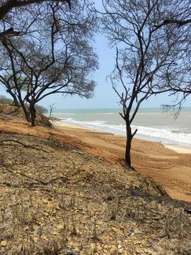 The texture of the muddy clay soil on the beach Stock Photos
