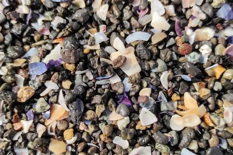Texture of multicolored broken shells and small pebbles on the beach Stock Photos