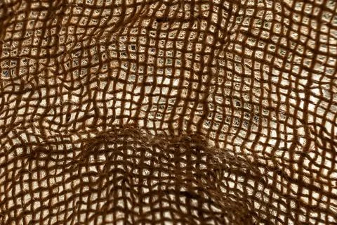 Texture of natural burlap material close-up Foto stock