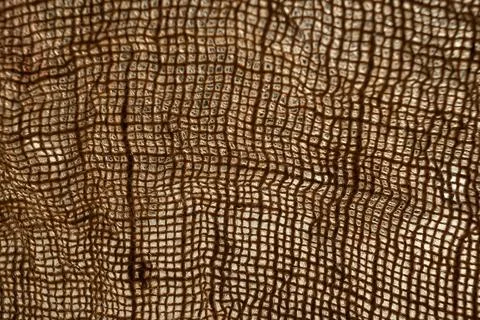 Texture of natural burlap material close-up Foto stock