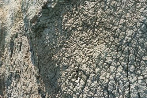 The texture of the natural cliff Foto stock