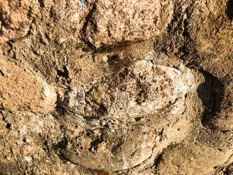 Texture of natural natural carved solid strong rough rough sharp textured min Stock Photos