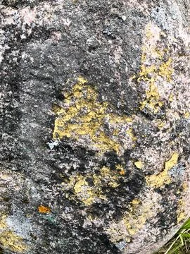Texture of natural natural carved solid strong rough rough sharp textured min Stock Photos