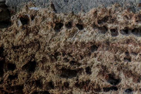 Texture of natural stone. background of shellstone stone. stone wall with cem Stock Photos