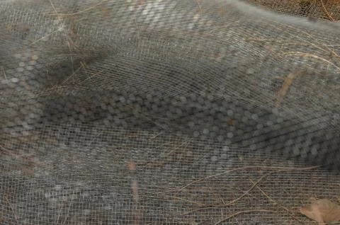Texture of nature captured in a mesh with soft shadows and earthy tones ben.. Stock Photos