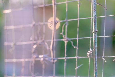 The texture of netting against the backdrop of the sun. Background. Stock Photos