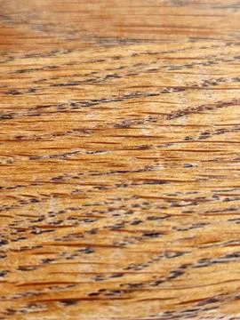 Texture of oak. Oak texture under varnish. Vintage background for advertising Stock Photos