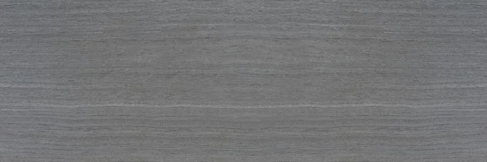 Texture of oak. Texture of natural solid wood. White silver oak plank, bleached Foto stock