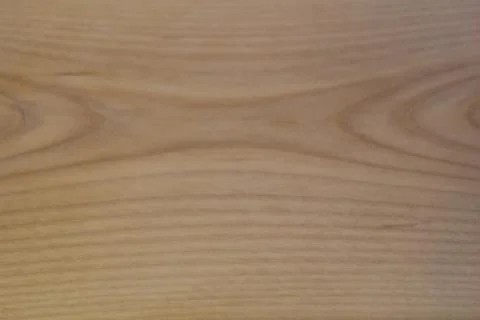 Texture of an oak tree, background Foto stock