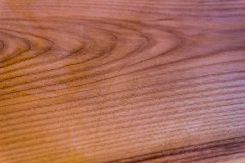 Texture of an oak tree, background Stock Photos