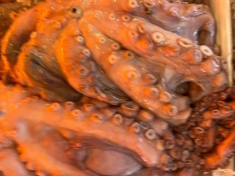 Texture with octopus on tray Stock Photos