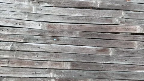 Texture of old bamboo Stock Footage 285319381