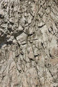 The texture of the old basalt flows of the mountain Stock Photos