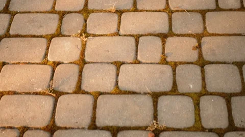 Texture of the old block pavement, background. Stock Footage 165859410