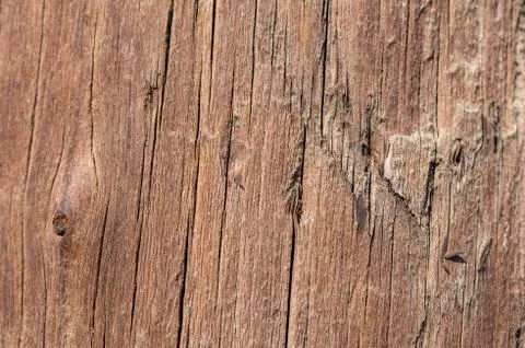 The texture of the old board close up. background. Copy space. Stock Photos