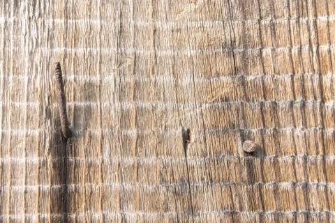 Texture of old board with rusty nails driven in and natural weathered wood pa Stock Photos
