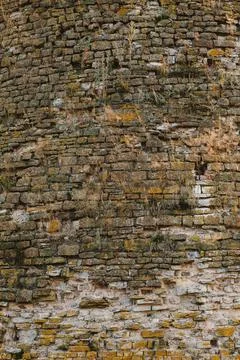 Texture of old bricks. Close-up brick wall with sprouting grass. Stock Photos