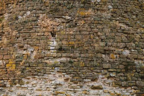 Texture of old bricks. Close-up brick wall with sprouting grass. Stock Photos