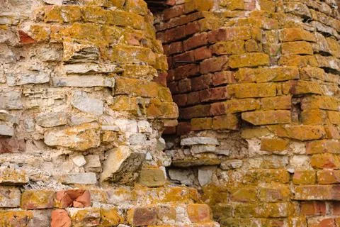 Texture of old bricks. Close-up brick wall with sprouting grass. Stock Photos