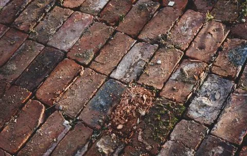 Texture of old brickwork sprouted with weeds Stock Photos