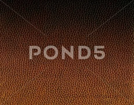 Texture of old brown leather Stock Photos