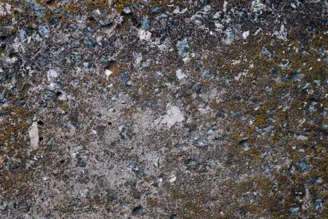 Texture of old cement wall covered with moss Stock Photos