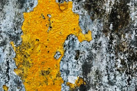 Texture of old concrete grunge wall covered with lichen moss mold as a backgr Stock Photos