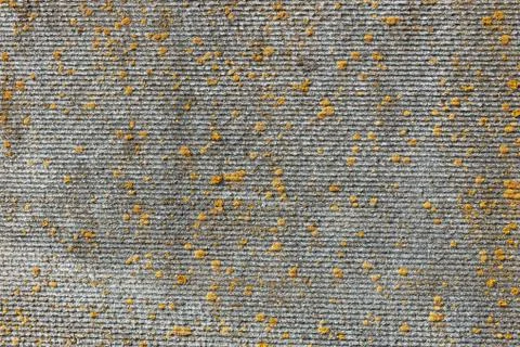 Texture of old concrete with moss. Texture of old concrete. The texture of th Stock Photos
