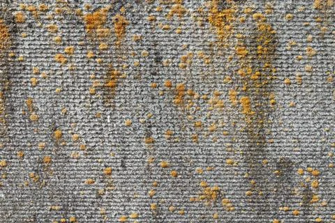 Texture of old concrete with moss. Texture of old concrete. The texture of the Foto stock
