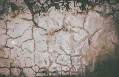 The texture of the old concrete wall for the background. Stock Photos